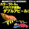 Duel A1773-LMDM 02: Egi Squid Fishing Lure, Easy Q Cast Squid Rattle, Squid, Squid, Fishing Gear, Bait Tree, Squid, No. 3.5 view 2