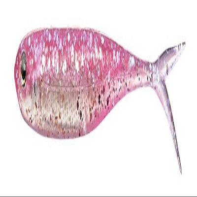 Fish Arrow Flash J Split Avalon 3in Sight Pink/Avalon