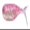 Fish Arrow Flash J Split Avalon 3in Sight Pink/Avalon view 1
