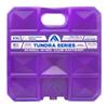 ARCTIC ICE Tundra Series, Long Lasting Reusable Ice Pack, Purple, XX-Large, 10 lb view 1