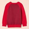 Amazon Essentials Toddler Boys' Cotton Knit Pullover Crewneck Sweater, Red Color Block, 2T view 3