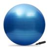 Nyack Exchange Stability Ball: for Core Strength, Balance, Flexibility,Yoga, Physical Therapy Rehab and Pregnancy Support, Pump Included, Anti-Burst. view 1
