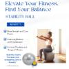 Nyack Exchange Stability Ball: for Core Strength, Balance, Flexibility,Yoga, Physical Therapy Rehab and Pregnancy Support, Pump Included, Anti-Burst. view 2