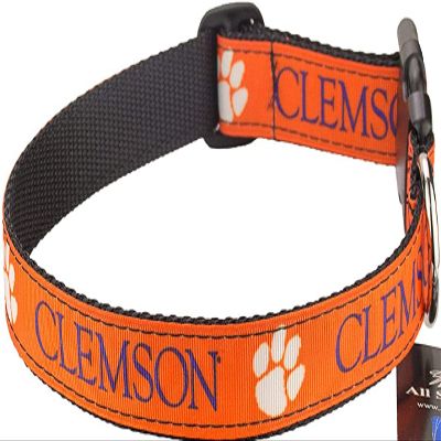 All Star Dogs Collegiate Dog Collar (Large, Clemson Tigers)