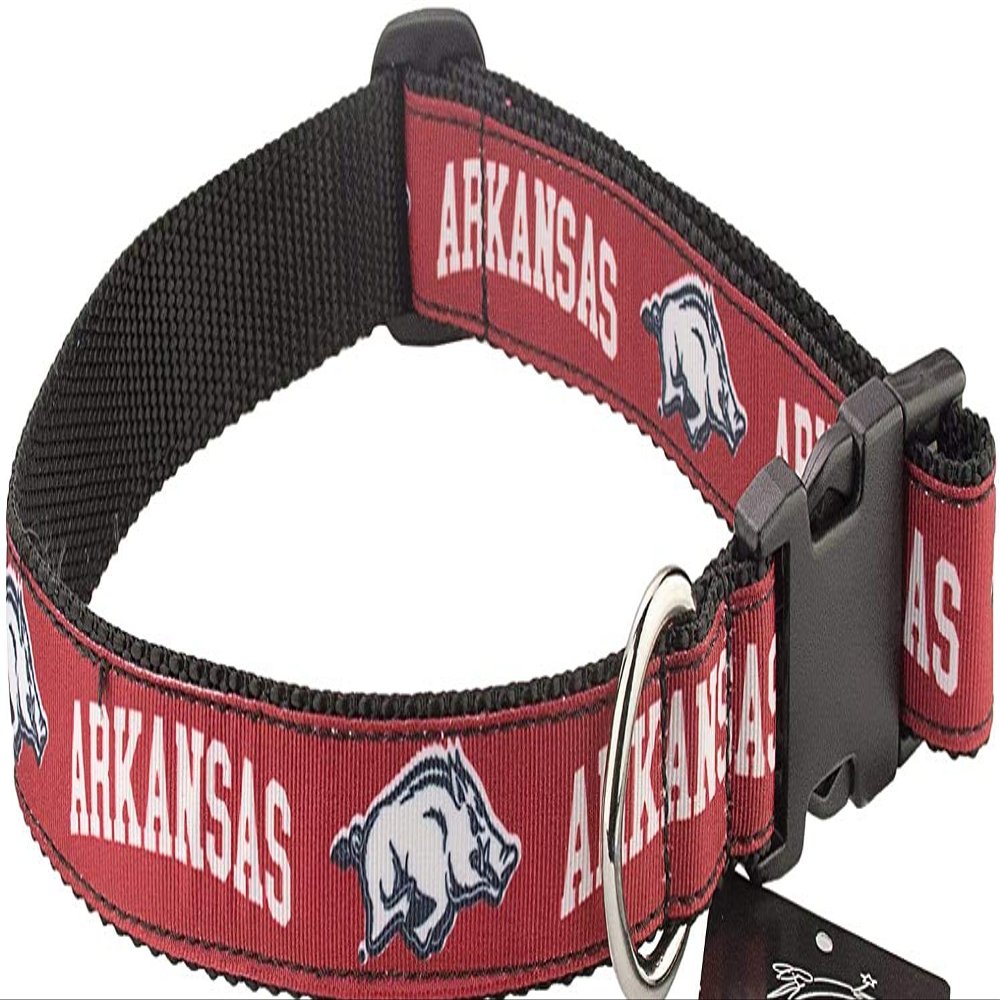 All Star Dogs Collegiate Dog Collar (Large, Arkansas Razorbacks)