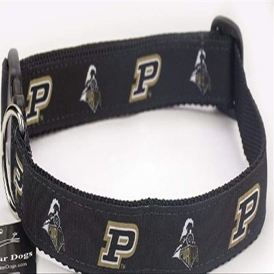 All Star Dogs Collegiate Dog Collar (Medium, Purdue Boilermakers)