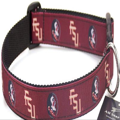 All Star Dogs Collegiate Dog Collar (Extra Small, Florida State Seminoles)