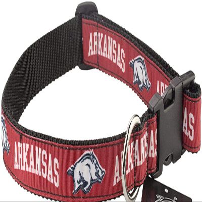 All Star Dogs Collegiate Dog Collar (Medium, Arkansas Razorbacks)