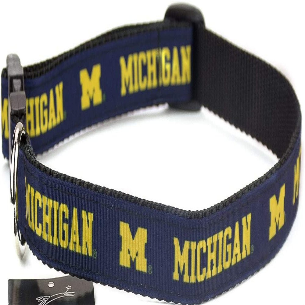 All Star Dogs Collegiate Dog Collar (Medium, Michigan Wolverines)