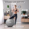 STOROMO Exercise Ball,Yoga Ball(with Exercise Tutorial)Extra Thick Non-Slip,Holds 2500 lbs, Workout Ball for Pregnancy Birthing and Balance Stability (Silver, 65cm/25.6in) view 4