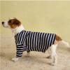Joules Rosewood Harbour Top for Dogs, Small Blue view 2