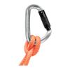 Mammut Classic HMS Twistlock Plus Carabiner - Light Grey view 3