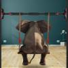 Pull-Up Bars Portable Steel Horizontal Bar, Wall-Mounted Sports and Fitness Training Pole, with Children's Ring and Swing, Load 250kg, 70-145CM (Size : 70-96CM) view 3