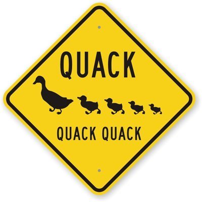 The Sign Studio - 24 x 24  Aluminum (.080)  Animal Crossing Sign: Quack Quack Quack (with Duck and Duckling Graphic)