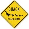 The Sign Studio - 24 x 24  Aluminum (.080)  Animal Crossing Sign: Quack Quack Quack (with Duck and Duckling Graphic) view 1