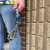 Desert Cactus University of Michigan Lanyard Wolverines UM U of M Go Blue Hail Car Keys ID Badge Holder Lanyard Keychain Detachable Breakaway Snap Buckle (Blue) view 2