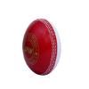 CW Spin Cricket Balls 4 X 1 Poly Soft Premium Quality Training & Coaching Balls view 2