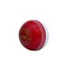 CW Spin Dual Color Cricket Coaching Balls Sports Training & Fun Balls Pack of 2 view 2