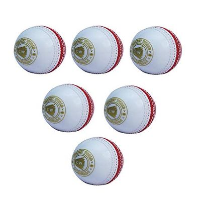 CW Spin Cricket Poly Soft Practice Ball for All Age Batting Training Pack of 6