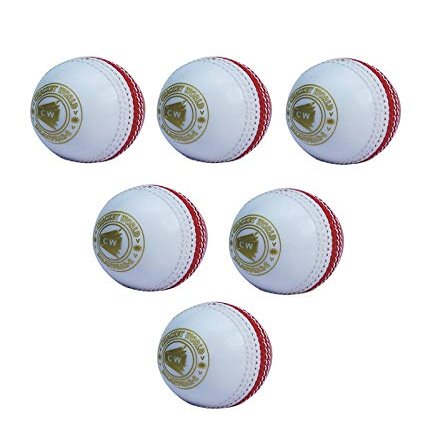 CW Spin Cricket Poly Soft Practice Ball for All Age Batting Training Pack of 6