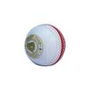 CW Spin Cricket Poly Soft Practice Ball for All Age Batting Training Pack of 6 view 2