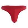 RENLIANG-CLOTH Men's Swimsuit Bikini G-String Thongs Briefs Swimwear Lingerie Swimming Suit (Color : Red, Size : Medium) view 1