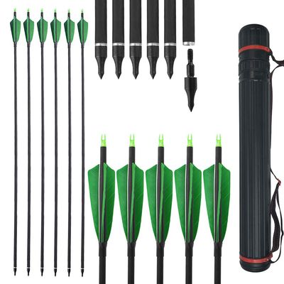 ZSHJGJR 30 Inch Archery Carbon Arrows 500 Spine Practice Hunting Arrows with Removable Tips Arrow Quiver for Compound Recurve Bow Longbow 12Pcs (12pcs Transparent + Quiver)
