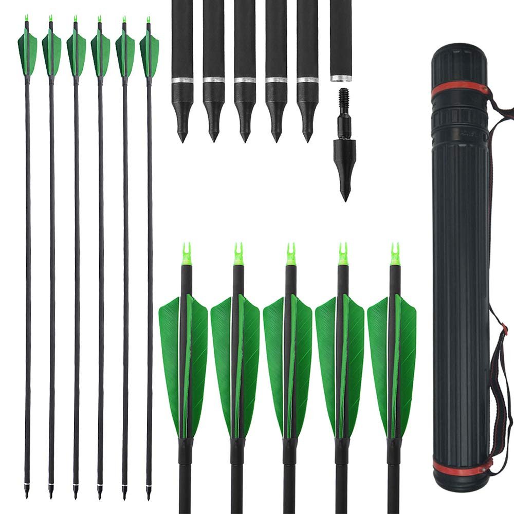ZSHJGJR 30 Inch Archery Carbon Arrows 500 Spine Practice Hunting Arrows with Removable Tips Arrow Quiver for Compound Recurve Bow Longbow 12Pcs (12pcs Transparent + Quiver)