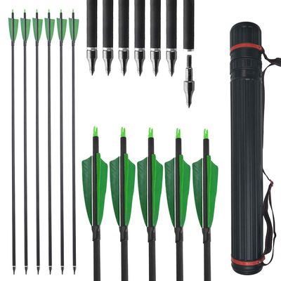 ZSHJGJR 30 Inch Archery Carbon Arrows 500 Spine Practice Hunting Arrows with Removable Tips Arrow Quiver for Compound Recurve Bow Longbow 12Pcs (12pcs Non-Transparent + Quiver)