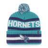 47 NBA Unisex-Adult Team Color Officially Licensed Primary Logo Bering Sport Knit Cuffed Pom Beanie Cold Weather Hat -Charlotte Hornets Teal view 1