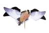 Avian-X PowerFlight Spinning Wing Dove Life-Size Motion Decoy - Durable Weather-Resistant Realistic Lifelike Hunting Decoy with Mounting Stake & Carry Bag Included view 2
