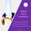 Aerial Yoga Hammock Set  Anti-Gravity Swing for Inversion, Flexibility & Strength Training(White) view 2