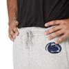 FOCO Penn State Nittany Lions NCAA Mens Gray Woven Joggers - L view 4