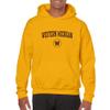 AH03 - Western Michigan Broncos Arch Logo Hoodie - 3X-Large - Gold view 4