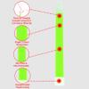 MediTac Green Glow Sticks, Premium Bright 6 Snap & Light Sticks, 12 Hour-6 Pack view 4