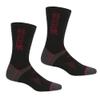 Regatta Unisex Adult Wool Hiking Boot Socks (Pack of 2) (10, 13) (Black/Dark Red) view 1