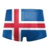 Alpsport Men'S Flag of Iceland Swimwear Boxer Briefs Swim Trunk Triangle Thong Bikini Swimsuit view 2