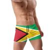 Alpsport Men'S Guyana Flag Swimwear Boxer Briefs Swim Trunk Triangle Thong Bikini Swimsuit view 2