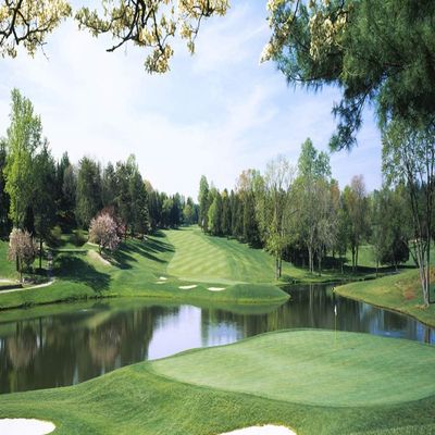 Biggies-Golf Murals-Congressional 120" X 60"