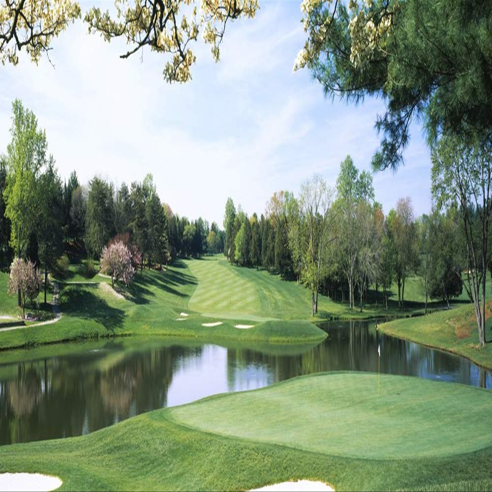 Biggies-Golf Murals-Congressional 120" X 60"