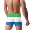 Alpsport Men'S Flag of Sierra Leone Swimwear Boxer Briefs Swim Trunk Triangle Thong Bikini Swimsuit view 4
