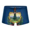 Alpsport Men'S Vermont Flag Swimwear Boxer Briefs Swim Trunk Triangle Thong Bikini Swimsuit view 1