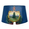 Alpsport Men'S Vermont Flag Swimwear Boxer Briefs Swim Trunk Triangle Thong Bikini Swimsuit view 2