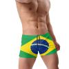 Alpsport Men'S Flag of Brazil Swimwear Boxer Briefs Swim Trunk Triangle Thong Bikini Swimsuit view 3