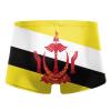 Alpsport Men'S Brunei Flag Swimwear Boxer Briefs Swim Trunk Triangle Thong Bikini Swimsuit view 2