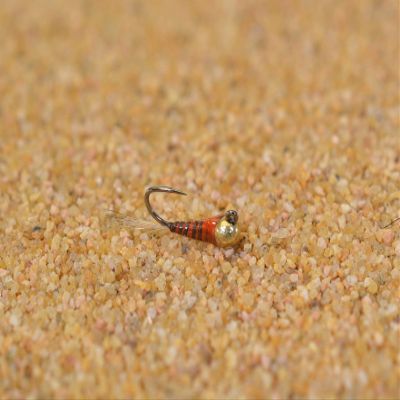 Region Fishing Tungsten Quill Perdigon Jig Head Fly - Euro Nymph Tied on Hanak Hook - 6ct Packs (Assortment)