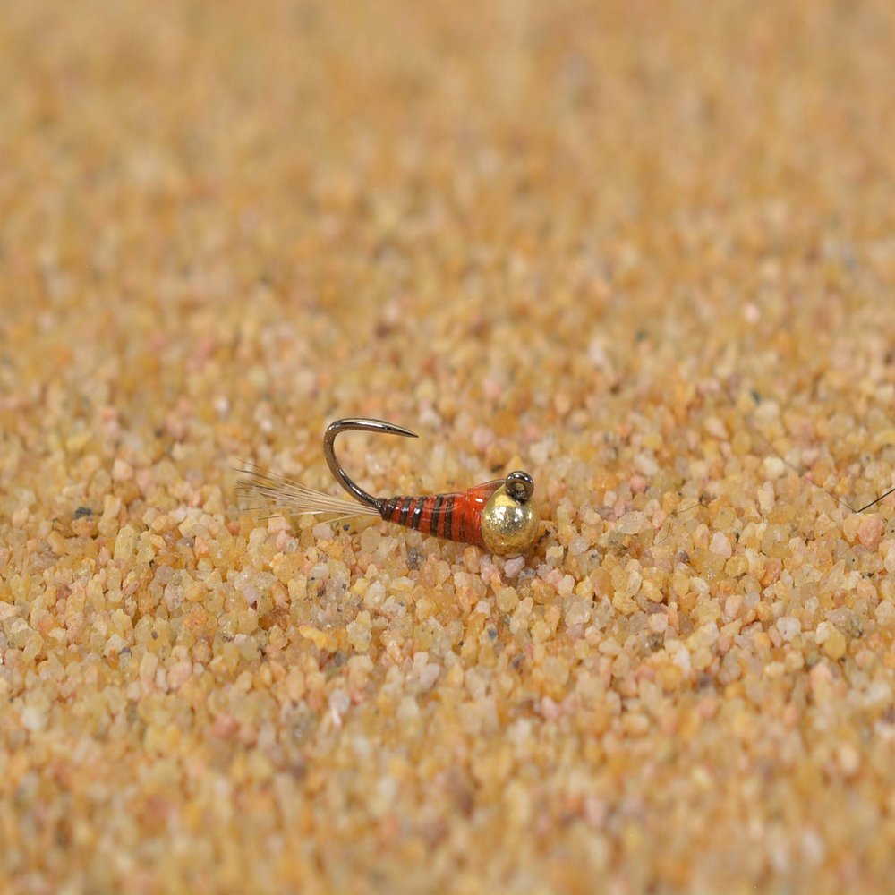 Region Fishing Tungsten Quill Perdigon Jig Head Fly - Euro Nymph Tied on Hanak Hook - 6ct Packs (Assortment)