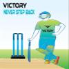 Victory Heavy Plastic Cricket Stumps Set (Blue) view 2