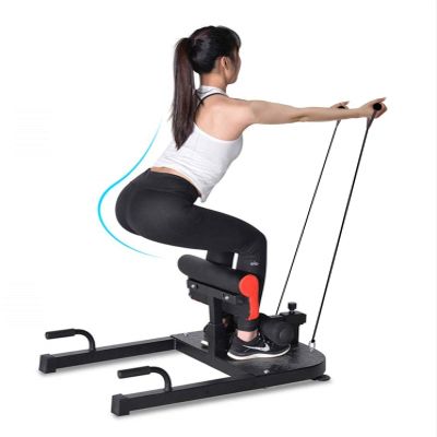 Multifunctional Deep Sissy Squat Bench 8 in 1 Home Gym and 2 Exercise Resistance Handles | Home Gym Machine Leg Exercise AB Workout Station | Sit Ups Push Ups Deep Squat Fitness Equipment (Black)