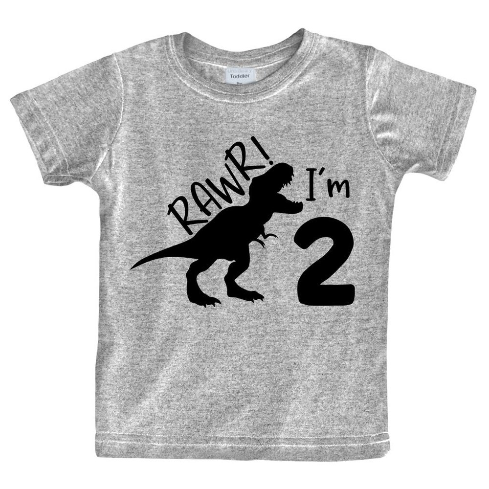 2nd Birthday Shirt boy Dinosaur rawr im 2 Toddler Two Year Old Second Dino Outfit (Light Gray, 3 Years)